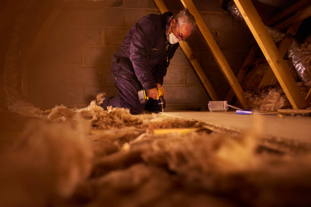 Types of Insulation We Offer in Citronelle, AL